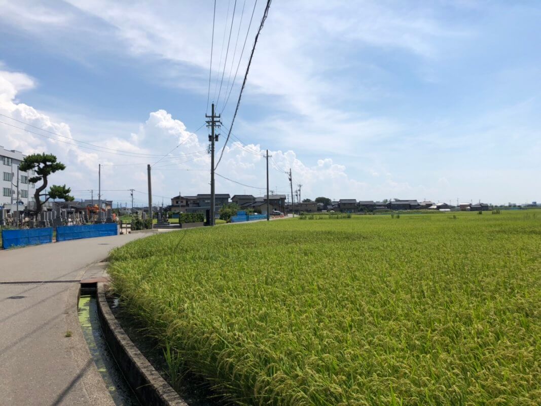 もらって嬉しい！オリジナル金箔ノベルティ専門サイト『HAQU』