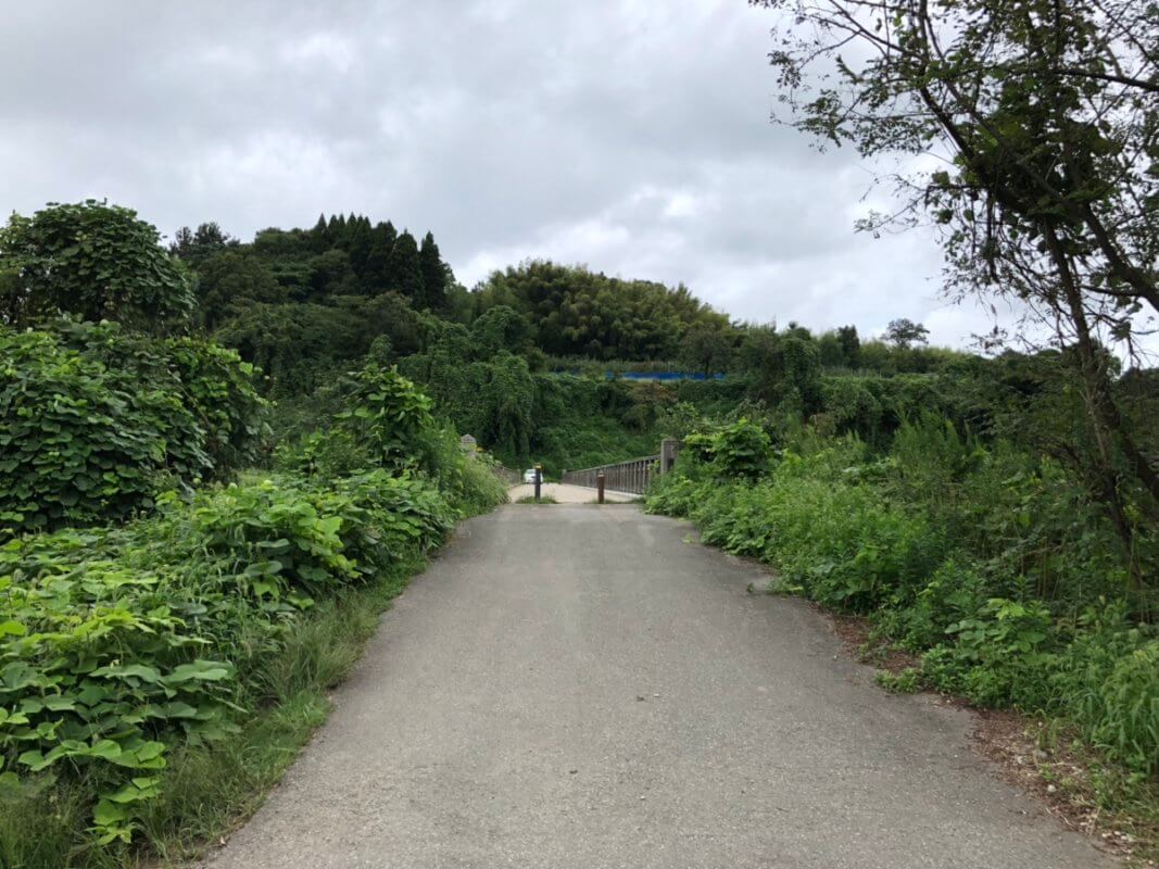 もらって嬉しい！オリジナル金箔ノベルティ専門サイト『HAQU』