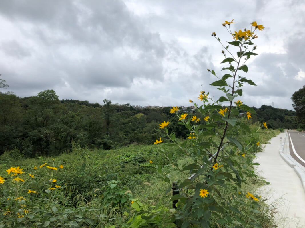 もらって嬉しい！オリジナル金箔ノベルティ専門サイト『HAQU』