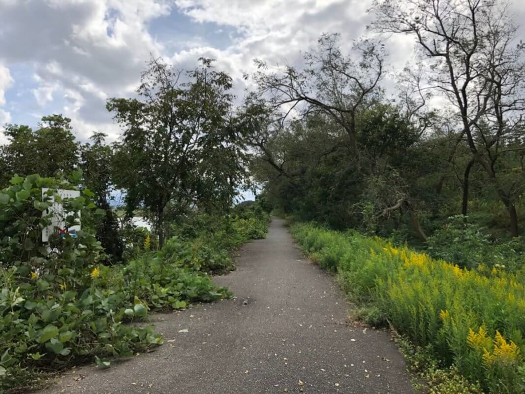 もらって嬉しい！オリジナル金箔ノベルティ専門サイト『HAQU』