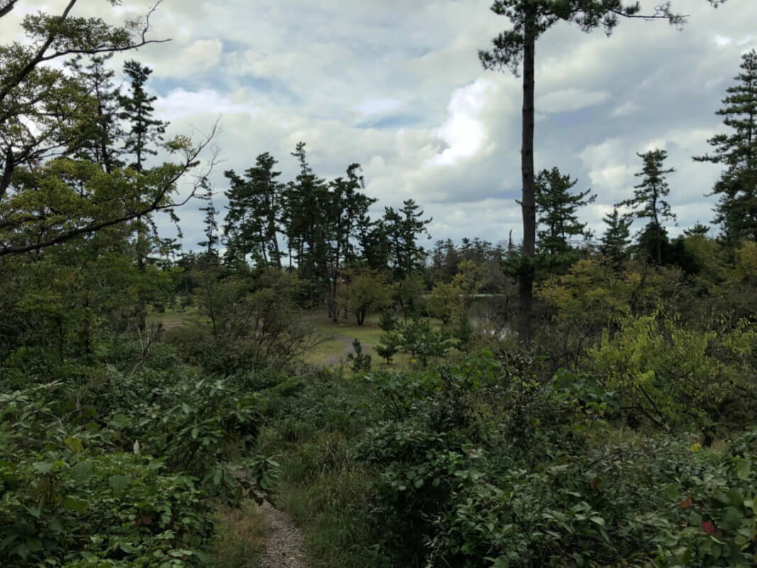 もらって嬉しい！オリジナル金箔ノベルティ専門サイト『HAQU』