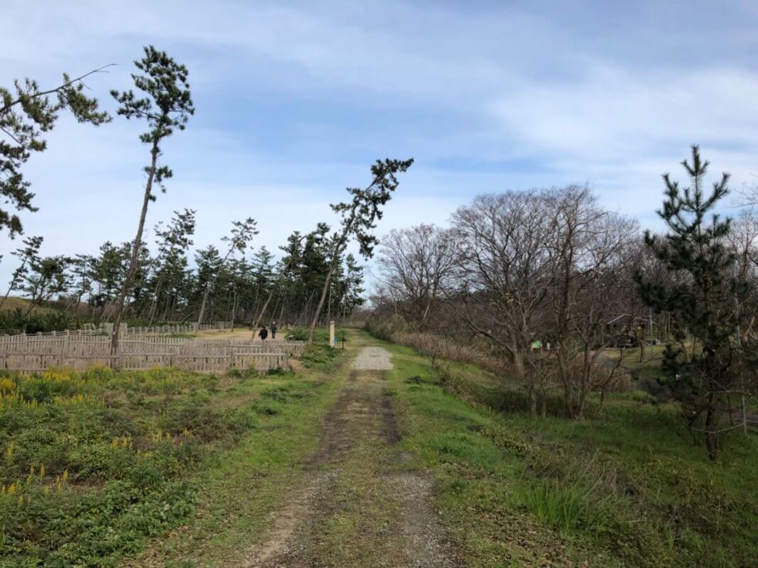 もらって嬉しい！オリジナル金箔ノベルティ専門サイト『HAQU』