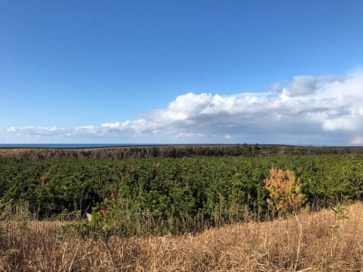 もらって嬉しい！オリジナル金箔ノベルティ専門サイト『HAQU』