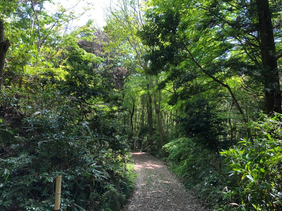 もらって嬉しい！オリジナル金箔ノベルティ専門サイト『HAQU』