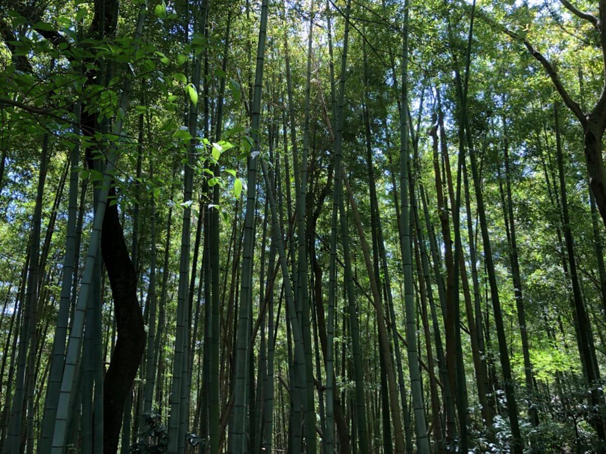 もらって嬉しい！オリジナル金箔ノベルティ専門サイト『HAQU』