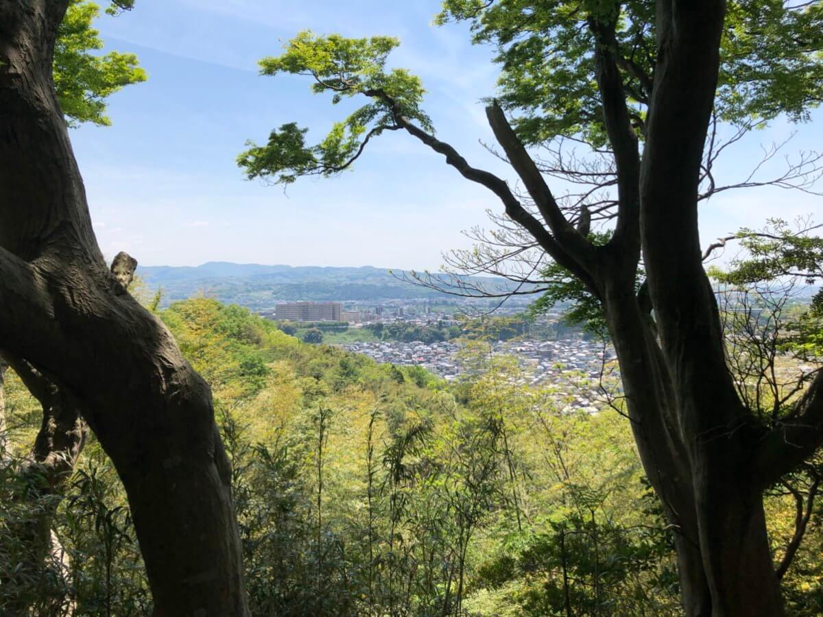 もらって嬉しい！オリジナル金箔ノベルティ専門サイト『HAQU』